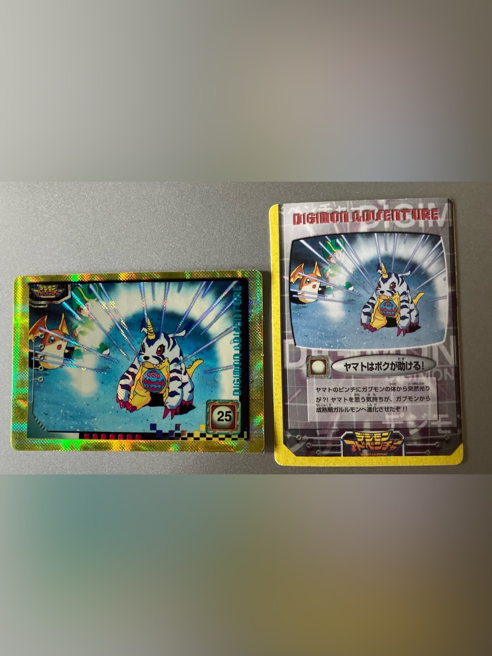 1999 Japanese Digimon Adventure Trading Card with Gabumon and Yamato Ishida